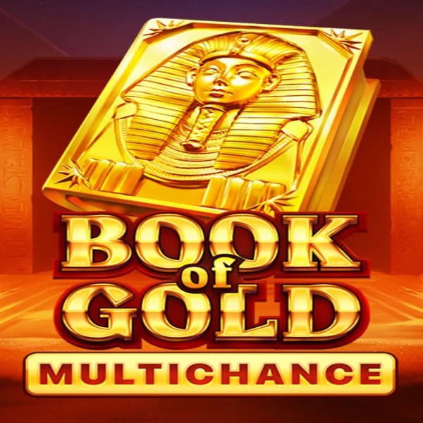 Official Slots logo: Book of Gold Multichance by Playson at Virgil Casino